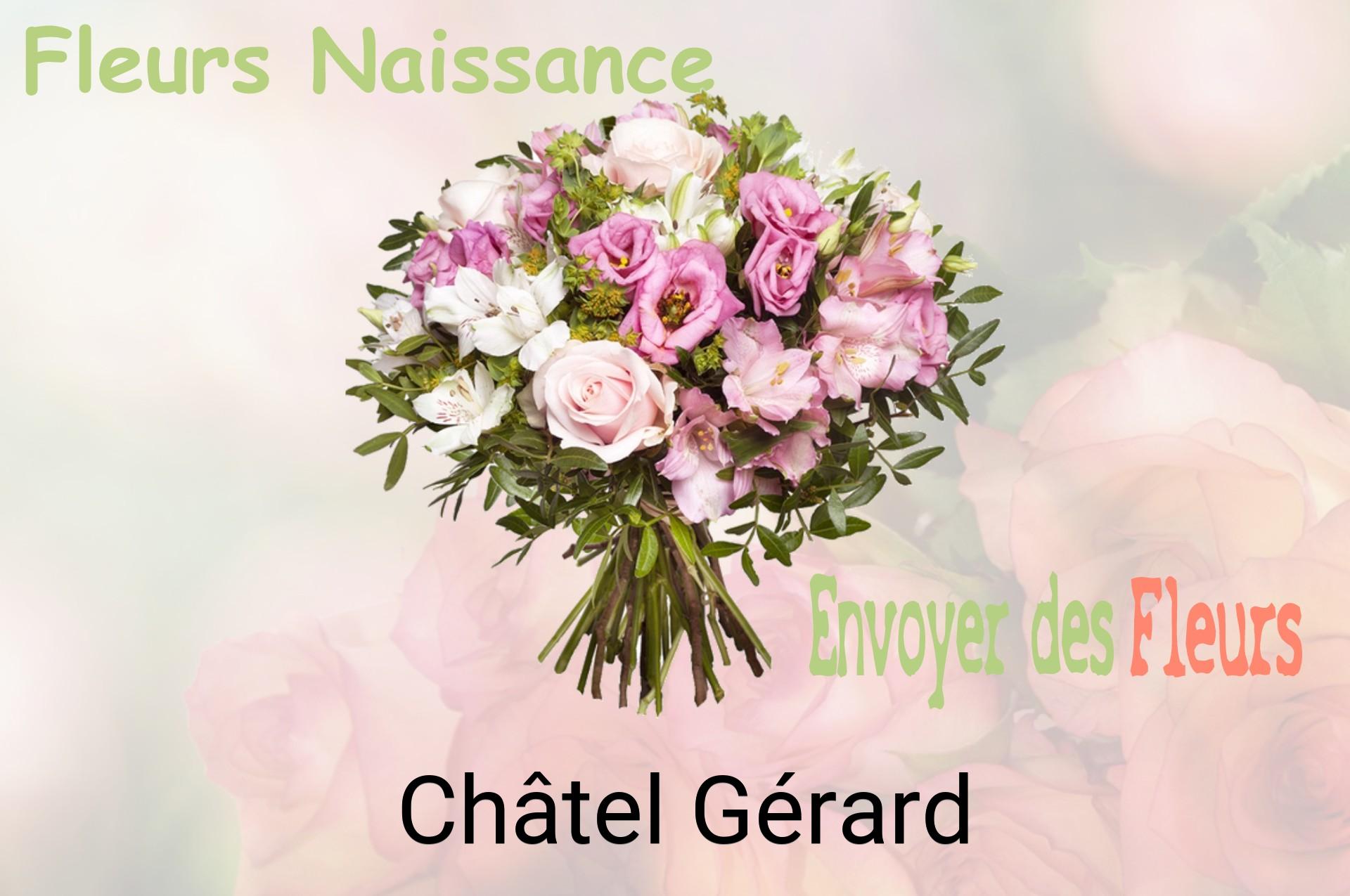 Bouquet de fleurs de naissance livré à Châtel-Gérard